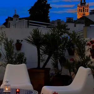 un-patio-en-santa-cruz.es-andalucia.com/